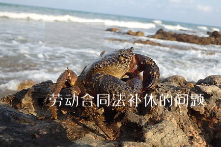 劳动合同法补休的问题 劳动合同法补休的问题