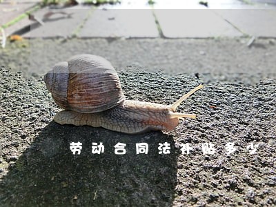 劳动合同法补贴多少 劳动合同法补贴多少