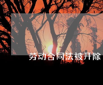 劳动合同法被开除 劳动合同法被开除