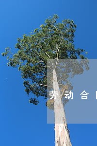 劳动合同法规章制度 劳动合同法规章制度