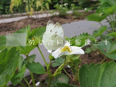 劳动合同法解读三十 劳动合同法解读三十