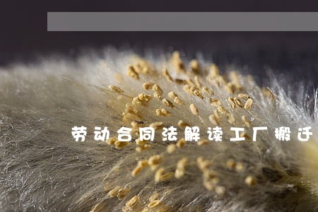 劳动合同法解读工厂搬迁 劳动合同法解读工厂搬迁