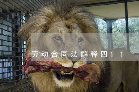 劳动合同法解释四11 劳动合同法解释四11
