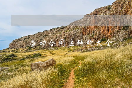 劳动合同法解释大全 劳动合同法解释大全