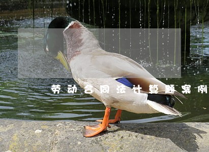 劳动合同法计算题案例 劳动合同法计算题案例
