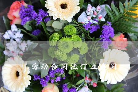 劳动合同法订立合同 劳动合同法订立合同