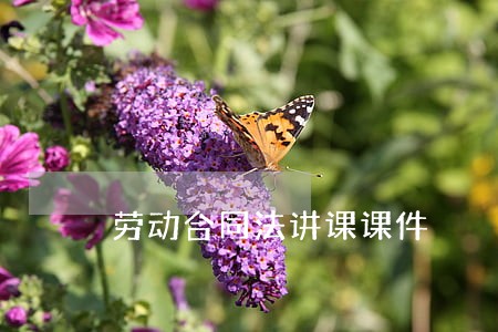 劳动合同法讲课课件 劳动合同法讲课课件