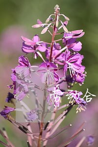 劳动合同法试用范围 劳动合同法试用范围