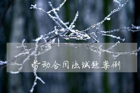 劳动合同法试题案例 劳动合同法试题案例