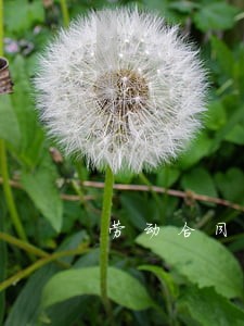 劳动合同法调休和加班 劳动合同法调休和加班
