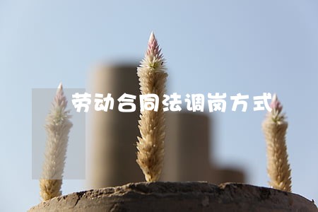 劳动合同法调岗方式 劳动合同法调岗方式