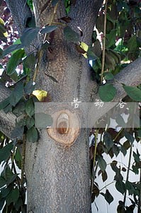 劳动合同法赔偿2倍 劳动合同法赔偿2倍