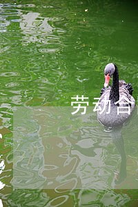 劳动合同法赔偿算法 劳动合同法赔偿算法