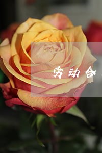 劳动合同法赔偿规定