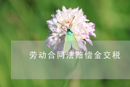 劳动合同法赔偿金交税 劳动合同法赔偿金交税