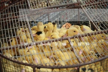 劳动合同法辅导提纲 劳动合同法辅导提纲
