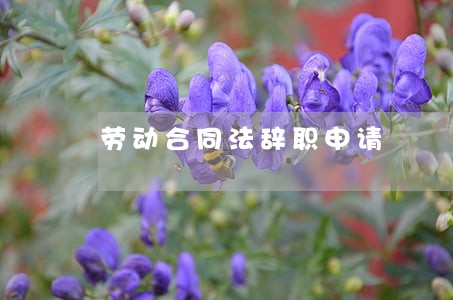劳动合同法辞职申请 劳动合同法辞职申请