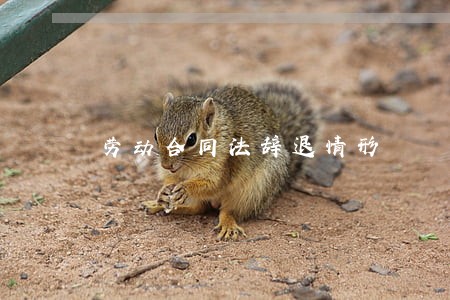 劳动合同法辞退情形 劳动合同法辞退情形