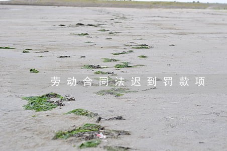 劳动合同法迟到罚款项 劳动合同法迟到罚款项
