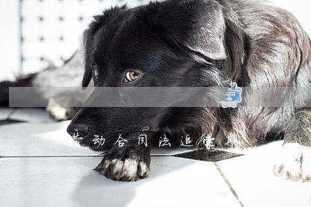 劳动合同法追索期 劳动合同法追索期