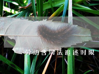 劳动合同法追述时限 劳动合同法追述时限