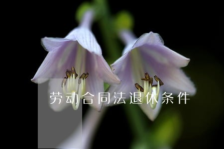 劳动合同法退休条件 劳动合同法退休条件