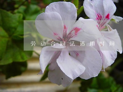 劳动合同法适用时间 劳动合同法适用时间