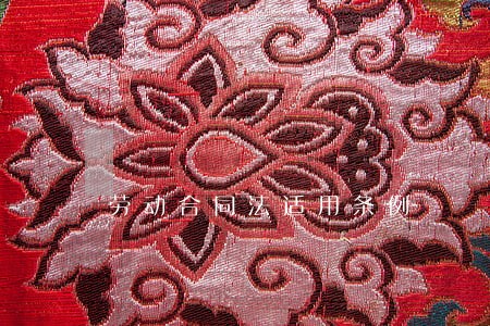 劳动合同法适用条例 劳动合同法适用条例