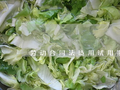 劳动合同法适用试用期 劳动合同法适用试用期
