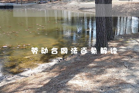 劳动合同法逐条解读 劳动合同法逐条解读