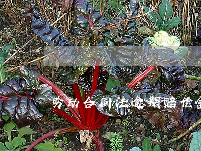 劳动合同法逾期赔偿金 劳动合同法逾期赔偿金
