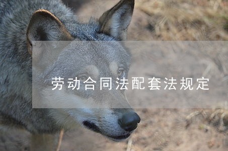 劳动合同法配套法规定 劳动合同法配套法规定