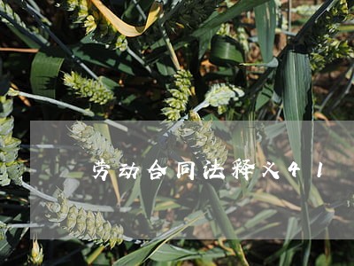 劳动合同法释义41 劳动合同法释义41