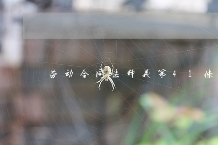 劳动合同法释义第41条 劳动合同法释义第41条