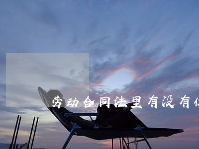 劳动合同法里有没有休息