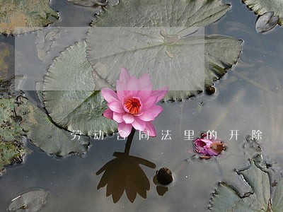 劳动合同法里的开除 劳动合同法里的开除