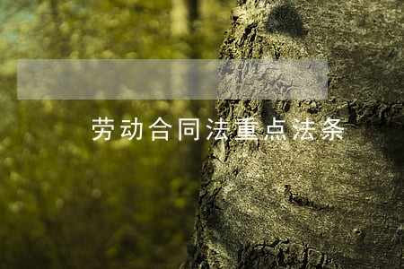 劳动合同法重点法条 劳动合同法重点法条