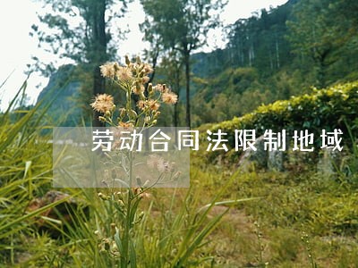 劳动合同法限制地域 劳动合同法限制地域