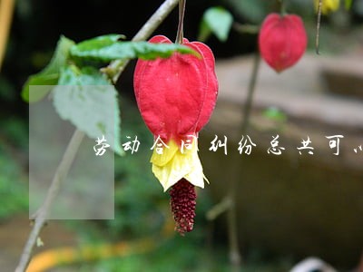劳动合同纠纷总共可以起诉几次 劳动合同纠纷总共可以起诉几次