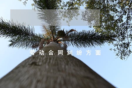 劳动合同纠纷方面 劳动合同纠纷方面