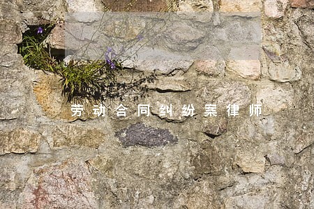 劳动合同纠纷案律师 劳动合同纠纷案律师