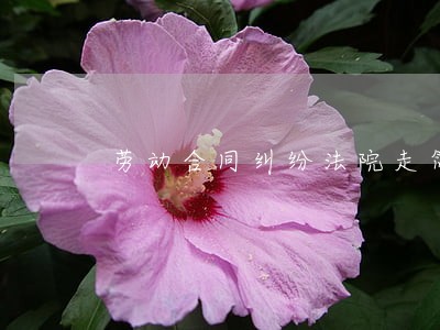 劳动合同纠纷法院走简易程序