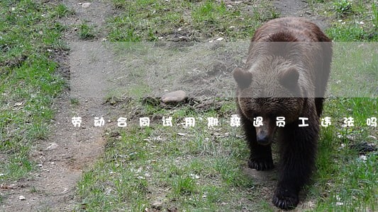 劳动合同试用期辞退员工违法吗 劳动合同试用期辞退员工违法吗