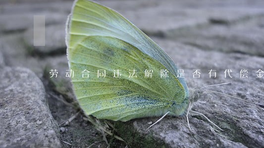 劳动合同违法解除是否有代偿金 劳动合同违法解除是否有代偿金