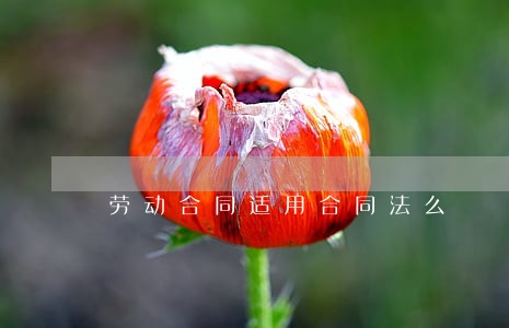 劳动合同适用合同法么 劳动合同适用合同法么