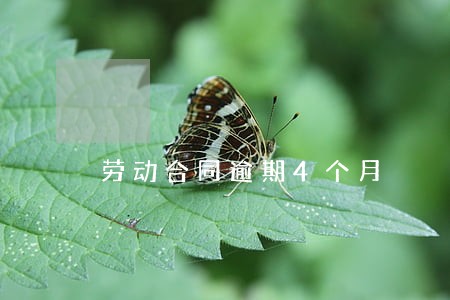 劳动合同逾期4个月 劳动合同逾期4个月