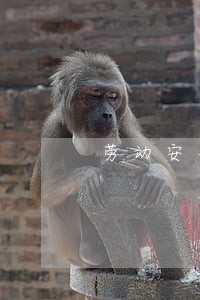 劳动安全卫生法律关系主体 劳动安全卫生法律关系主体
