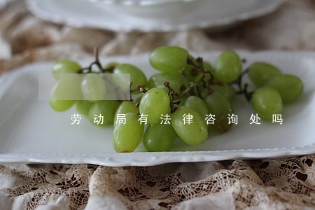 劳动局有法律咨询处吗 劳动局有法律咨询处吗