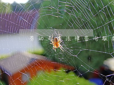 劳动局有法律咨询服务吗