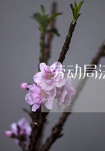 劳动局法律咨询几点上班 劳动局法律咨询几点上班